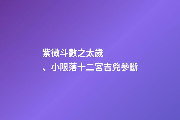 紫微斗數之太歲、小限落十二宮吉兇參斷